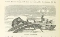 An illustration from Shifts and Expedients of Camp Life, Travels, etc (1871)