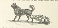 An illustration from Shifts and Expedients of Camp Life, Travels, etc (1871)