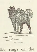 An illustration from Shifts and Expedients of Camp Life, Travels, etc (1871)