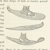 An illustration from Shifts and Expedients of Camp Life, Travels, etc (1871)