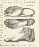 An illustration from Shifts and Expedients of Camp Life, Travels, etc (1871)