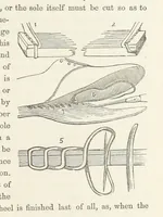 An illustration from Shifts and Expedients of Camp Life, Travels, etc (1871)