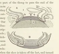 An illustration from Shifts and Expedients of Camp Life, Travels, etc (1871)