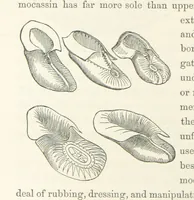 An illustration from Shifts and Expedients of Camp Life, Travels, etc (1871)