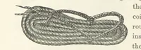 An illustration from Shifts and Expedients of Camp Life, Travels, etc (1871)