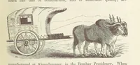 An illustration from Shifts and Expedients of Camp Life, Travels, etc (1871)