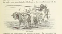 An illustration from Shifts and Expedients of Camp Life, Travels, etc (1871)