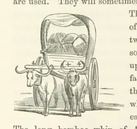 An illustration from Shifts and Expedients of Camp Life, Travels, etc (1871)