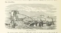 An illustration from Shifts and Expedients of Camp Life, Travels, etc (1871)