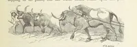 An illustration from Shifts and Expedients of Camp Life, Travels, etc (1871)