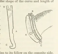 An illustration from Shifts and Expedients of Camp Life, Travels, etc (1871)
