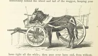 An illustration from Shifts and Expedients of Camp Life, Travels, etc (1871)