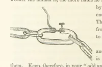 An illustration from Shifts and Expedients of Camp Life, Travels, etc (1871)