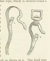 An illustration from Shifts and Expedients of Camp Life, Travels, etc (1871)