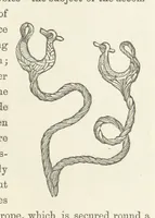 An illustration from Shifts and Expedients of Camp Life, Travels, etc (1871)