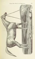 An illustration from Shifts and Expedients of Camp Life, Travels, etc (1871)