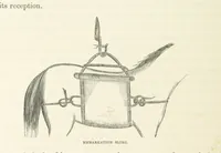 An illustration from Shifts and Expedients of Camp Life, Travels, etc (1871)