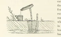 An illustration from Shifts and Expedients of Camp Life, Travels, etc (1871)