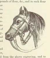 An illustration from Shifts and Expedients of Camp Life, Travels, etc (1871)