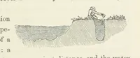 An illustration from Shifts and Expedients of Camp Life, Travels, etc (1871)