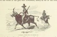 An illustration from Shifts and Expedients of Camp Life, Travels, etc (1871)
