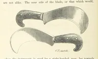 An illustration from Shifts and Expedients of Camp Life, Travels, etc (1871)