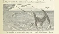 An illustration from Shifts and Expedients of Camp Life, Travels, etc (1871)