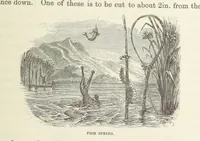 An illustration from Shifts and Expedients of Camp Life, Travels, etc (1871)