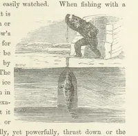 An illustration from Shifts and Expedients of Camp Life, Travels, etc (1871)