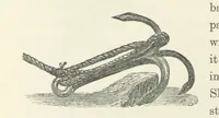 An illustration from Shifts and Expedients of Camp Life, Travels, etc (1871)