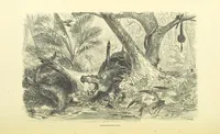 An illustration from Shifts and Expedients of Camp Life, Travels, etc (1871)