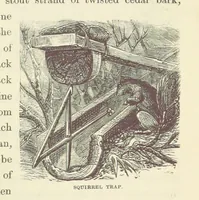 An illustration from Shifts and Expedients of Camp Life, Travels, etc (1871)