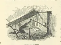 An illustration from Shifts and Expedients of Camp Life, Travels, etc (1871)