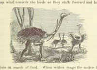 An illustration from Shifts and Expedients of Camp Life, Travels, etc (1871)