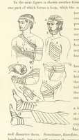 An illustration from Shifts and Expedients of Camp Life, Travels, etc (1871)