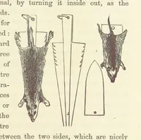 An illustration from Shifts and Expedients of Camp Life, Travels, etc (1871)