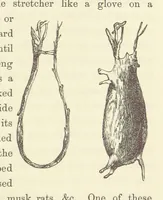An illustration from Shifts and Expedients of Camp Life, Travels, etc (1871)