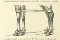 An illustration from Shifts and Expedients of Camp Life, Travels, etc (1871)