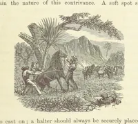An illustration from Shifts and Expedients of Camp Life, Travels, etc (1871)