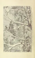 Picture 1 of 388 from Shifts and Expedients of Camp Life, Travels, etc (1876), leaf 10