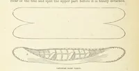 Picture 57 of 388 from Shifts and Expedients of Camp Life, Travels, etc (1876), leaf 158