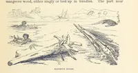 Picture 63 of 388 from Shifts and Expedients of Camp Life, Travels, etc (1876), leaf 163