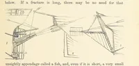 Picture 76 of 388 from Shifts and Expedients of Camp Life, Travels, etc (1876), leaf 179