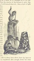 Picture 106 of 388 from Shifts and Expedients of Camp Life, Travels, etc (1876), leaf 253