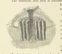 Picture 109 of 388 from Shifts and Expedients of Camp Life, Travels, etc (1876), leaf 260