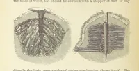 Picture 110 of 388 from Shifts and Expedients of Camp Life, Travels, etc (1876), leaf 260