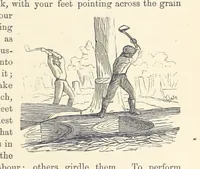 An illustration from Shifts and Expedients of Camp Life, Travels, etc (1876)
