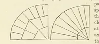 Picture 118 of 388 from Shifts and Expedients of Camp Life, Travels, etc (1876), leaf 266
