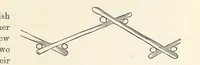 Picture 121 of 388 from Shifts and Expedients of Camp Life, Travels, etc (1876), leaf 267