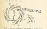 Picture 143 of 388 from Shifts and Expedients of Camp Life, Travels, etc (1876), leaf 289